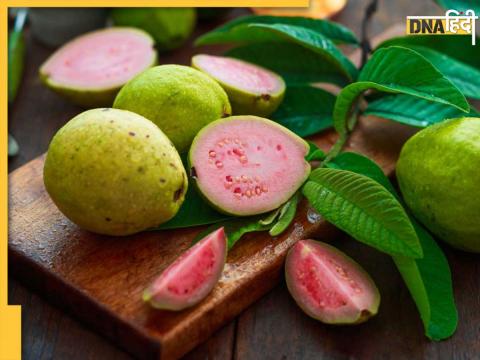 Guava Leaves In Diabetes