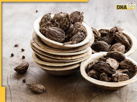 Black Cardamom Benefits