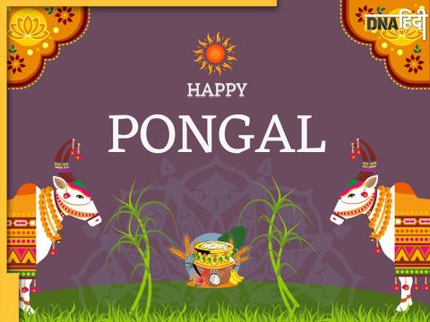 Pongal