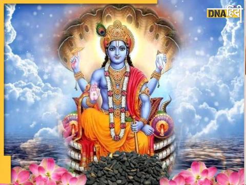 Shattila Ekadashi 2025