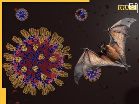 Nipah Virus In Kerala Nipah Virus In Kerala