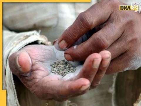Madhya Pradesh, MP News Or Cancer Madhya Pradesh, MP News Or Cancer