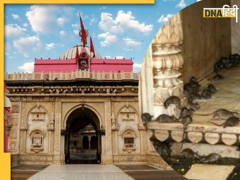 Karni Mata Mandir Karni Mata Mandir