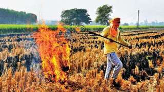 Stubble burning: Punjab to appoint nodal officers across 8,000 villages to...