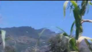 Watch: Pakistani helicopter violates Indian airspace in Poonch sector of J...