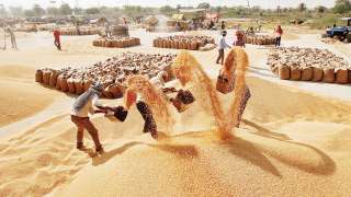 Cabinet hikes MSP for rabi crops