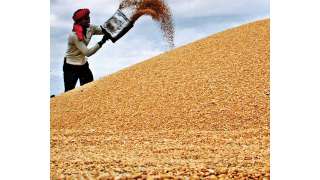 MSP hikes may not enthuse farmers