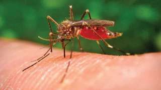 Kenya becomes third African nation to introduce world's first malaria...