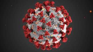 Indian researchers start working on genome sequencing of novel coronavirus