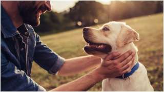 Pets played life-saving role during COVID-19 pandemic: Study
