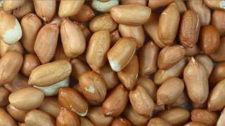 Yearender 2020: Food that ruled amid COVID-19 pandemic