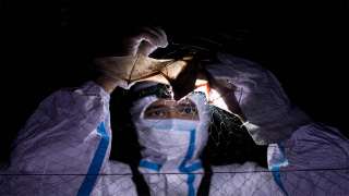 Finally we will know what caused the COVID-19 pandemic? WHO report to relea...