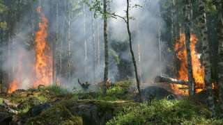 1972 study predicted world collapse by 2040 - New research shows we're...