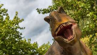 Jurassic Park alert: Scientists hope to clone dinosaurs with DNA from 125 m...