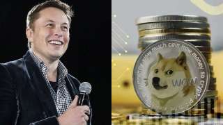 Shiba Inu falls two spots after Elon Musk's response to a tweet - Find...