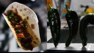 ‘Best space tacos yet’: Astronauts make tacos with first chili peppers grow...