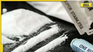 Meow Meow drug worth Rs 1000 crore seized in Gujarat: Know more about the party drug, its effects on body