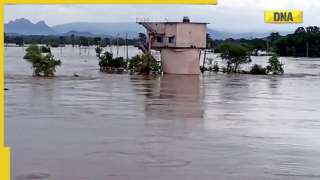 Waterlogging, flooding: More than 4.67 lakh people affected in Odisha, see pics