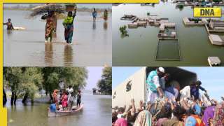 In Pics: As deadly floods continue to devastate Pakistan, death toll passes 1,200