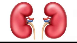 Detox: 5 ways to cleanse your kidney