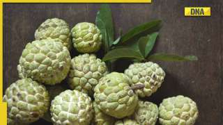 Custard apple: Know the amazing benefits of this highly nutritious fruit