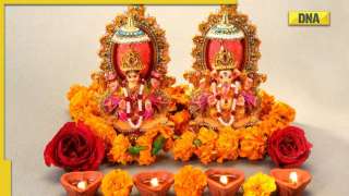 Dhanteras 2022: Five auspicious things you can buy on this day 