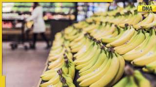 Fond of banana shake? Know about side effects of consuming the drink daily