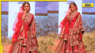 From Punjab ki Katrina Kaif to India ki Shehnaaz Gill, a look at inspiring journey of Bigg Boss star