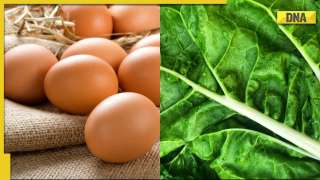 Winter diet for pregnant women: 5 food important during pregnancy