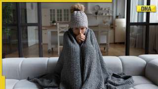 Check out these 5 effective herbs to keep you safe during this cold season