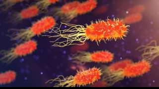 Lancet study: THESE 5 bacteria responsible for at least 6.8 lakh deaths in India