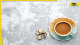 Benefits of herbal tea: Include these tea options in your diet to soothe headaches, migraines