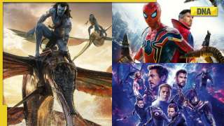 Avatar The Way of Water becomes second biggest Hollywood opener in India, check out top 5 films here