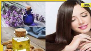 Add nutrition and shine to frizzy hairs naturally with THESE essential oils in winter