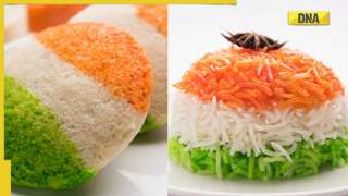 Republic Day 2023: Pulao, momos, sandwiches and many other tricolor dishes to try on January 26