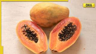 Unleash the power of papaya: Discover top 5 health benefits of this nutritious fruit