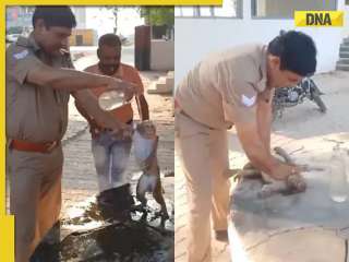 Cop performs CPR to save monkey amid scorching heat, viral video wins internet