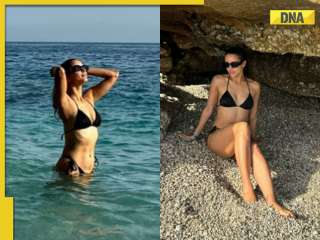 Triptii Dimri sets the internet on fire in black bikini in beachside photos, fans say 'bhabhi bani baby'