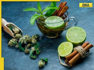 Ayurvedic remedies: 5 drinks to manage heart health naturally