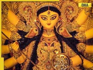  Navratri 2024: 9 divine colours for Durga Puja and their significance