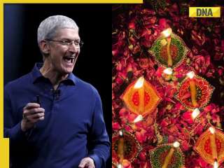 'Time of light, unity and hope': Apple CEO Tim Cook extends Diwali greetings, shares picture clicked by...