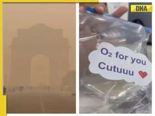 'O2 for you Cutuuu': Woman gets 'oxygen' with food ordered online as pollution peaks in Delhi, WATCH viral video 