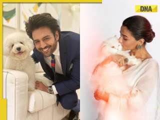From Kartik Aaryan's Katori to Alia Bhatt's Edward: 6 Bollywood stars and their cute pets