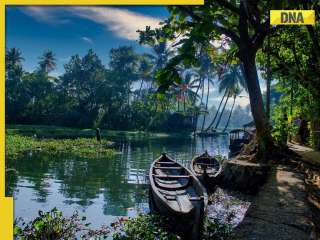 From Munnar to Cherrapunji: 6 must-visit destinations in India that turns into 'green heaven' during monsoon 