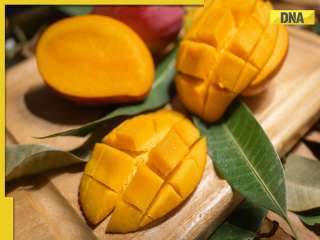 From Alphonso to Noorjahan: 5 most incredibly expensive mango varieties in India; Know what makes them so pricey
