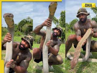 SHOCKING! Man lifts massive king cobra with bare hands, netizens call him..., watch viral video 