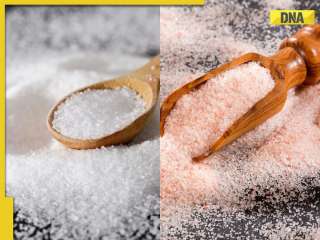 White salt vs Pink salt: Which is healthier?