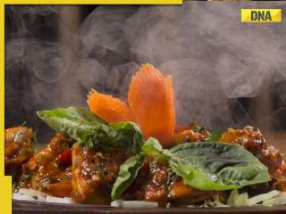 Rainy day cravings? These 5 hot sizzlers will warm up your monsoon; check recipes