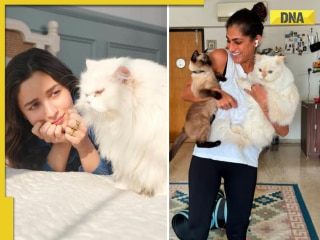 International Cat Day 2025: Meet 6 Bollywood actresses who are cat moms