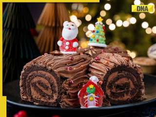 What is Yule Log cake? Know its history, significance and step-by-step Christmas recipe for this festive season